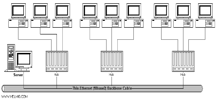 tpbckbon.gif (10378 bytes)