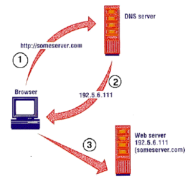 tcpipdns-1.gif (20901 bytes)