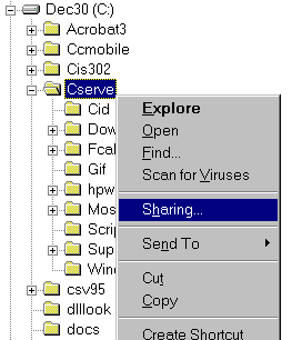 netdisk2.gif (5694 bytes)